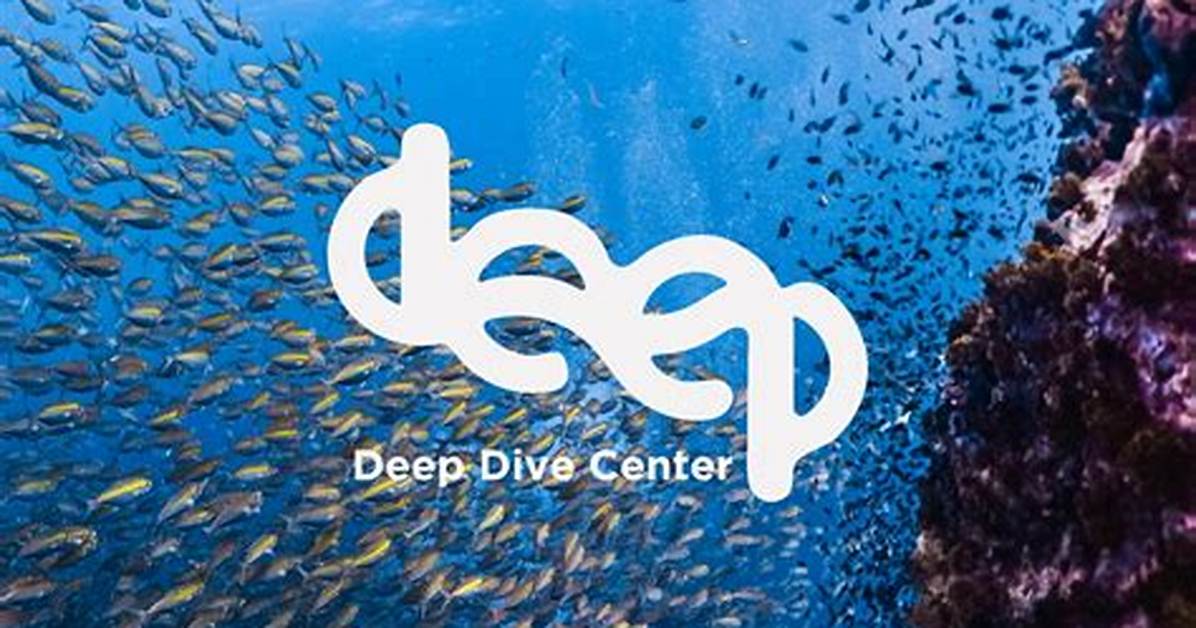 A Deep Dive for the Centralhub