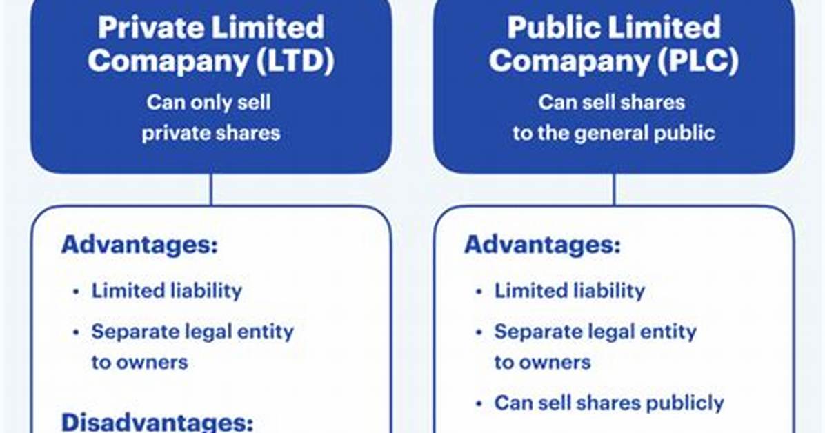 A Guide to Proprietary Limited Companies in Australia