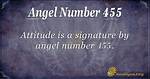 Angel Number 455 Meaning: Learning New Stuff