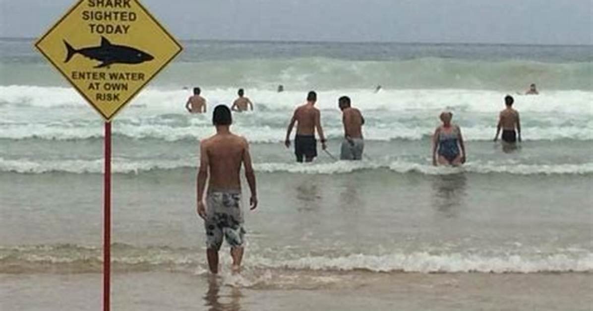 Beach Blunders: Oops at the Shoreline