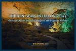 Discover Hidden Gems Beyond the Games