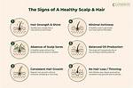 Discover Your Path to Healthy Hair: the Revolutionary Hair Stimulation Brush