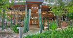 Discoveries and Insights from Koko Miami