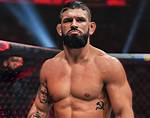 Discoveries and Insights into Andre Petroski's Mma Mastery