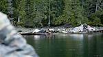 Discovering Cole Sturgis: a Journey Through Thorne Bay, Alaska