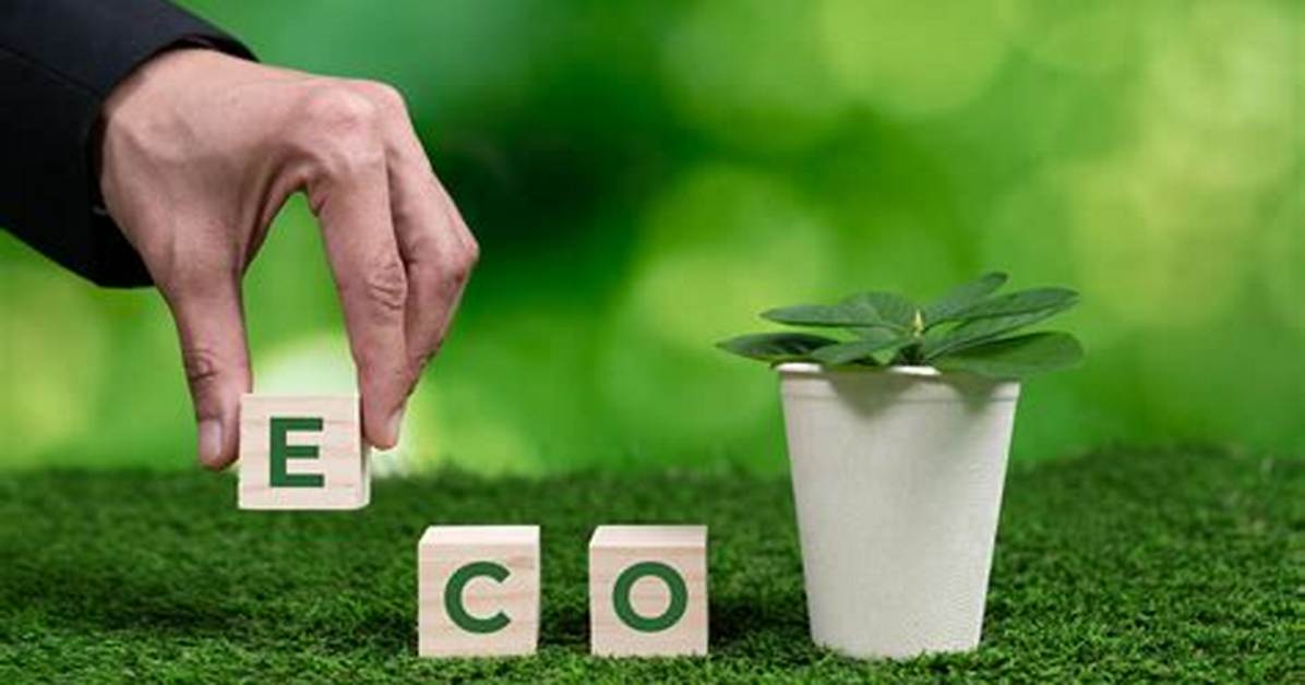 Discovering Evoolo: the Future of Eco-Friendly Transportation