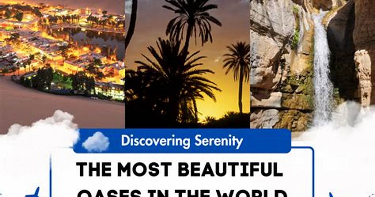 Discovering Serenity: a Holiday in the Wild