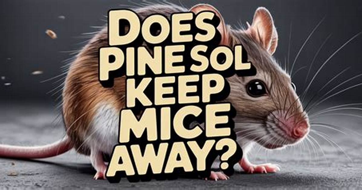 Does Pine-Sol Really Repel Mice? Unraveling the Truth