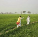 Exploring Mydesi. Com: Your Ultimate Guide to South Asian Culture and Lifestyle