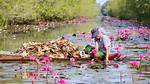Exploring Tram Chim: a Hidden Gem of Vietnam's Wetlands