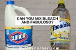Fabuloso and Bleach: a Dangerous Mix or Safe Solution?