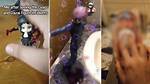 "Gojo Figure Incident Video" Examined