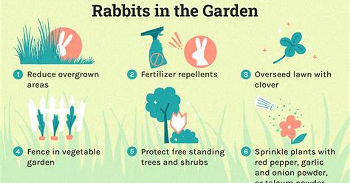 How Do You Keep Rabbits Away from Hydrangeas? |