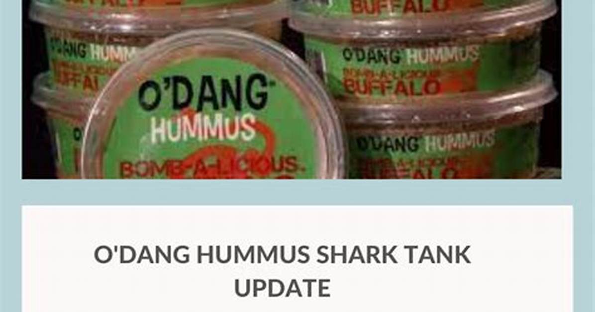 How Much Is O’dang Hummus Net Worth in 2022 After Jesse Wolfe’s Came to Shark Tank?