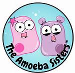 How Twitch Fans Engage with Amoeba Sisters: a Community Reaction