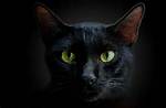 Kirstentoosweet of Leaks: Unveiling the Mystery Behind the Phenomenon
