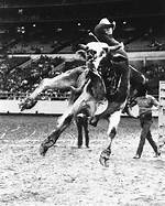 Legendary Rodeo Cowboy Passed Away on May 7, 2023