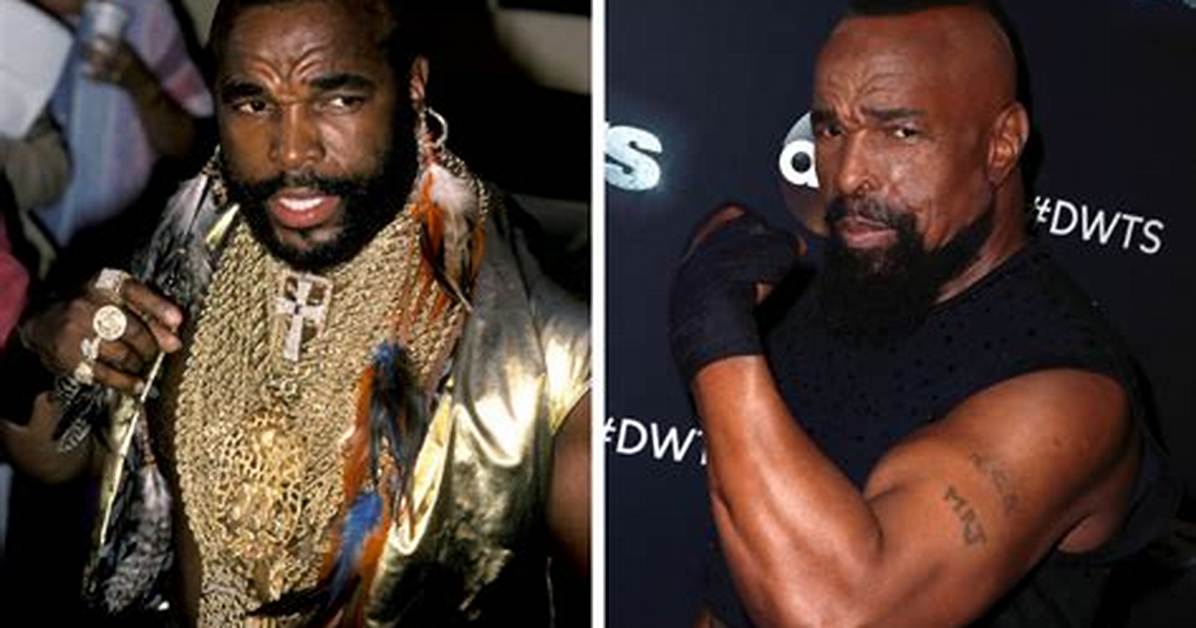 Mr. T's Evolution: an Insight into 2023