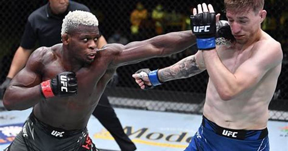 Phil Hawes' Journey in the Ufc