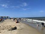Shark Attacks at Rehoboth Beach