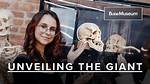 The Enigma of the Giant Skeleton: Unveiling the Truth Behind the Myths