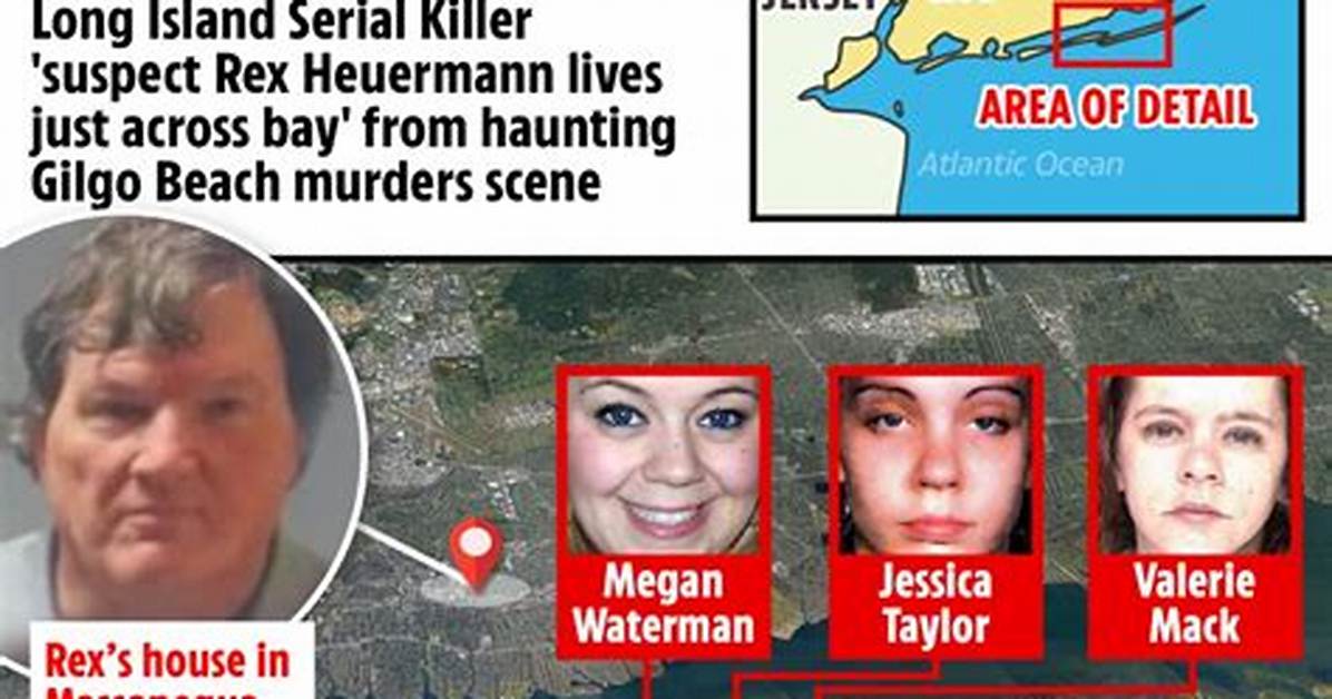 The Enigmatic Case of the Long Island Killer: a Deep Dive into Mystery and Investigation