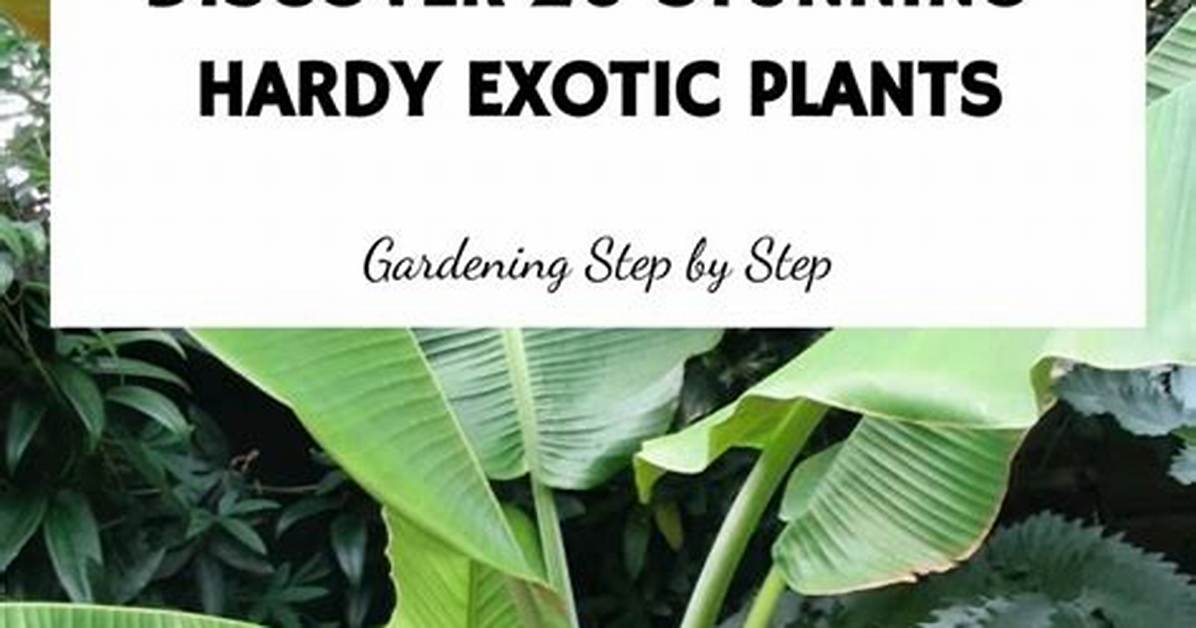 The Essential Guide to Hardy Wives: Tips and Advice for a Fulfilling Marriage