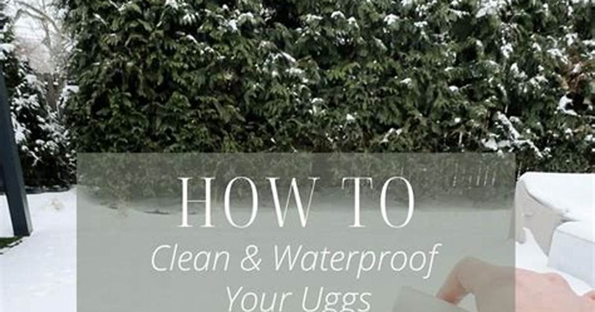 The Ultimate Guide to Insoles for Uggs Arch Support
