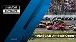 Uncovering the Pillars of a Nascar Star's Success