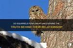 Uncovering the Truth Behind Their Relationship