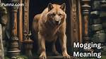 Understanding the Fascination: the True Mogging Meaning