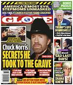 Unlocking the Secrets of Chuck Norris's Progeny