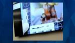 Unraveling the Mystery: the Gannon Stauch Autopsy Photos Leaked Case