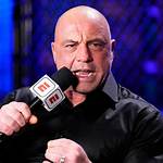 Unraveling the Mystique of Joe Rogan's Partner: a Deep Dive
