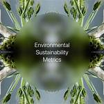 Unveiling the Secrets of Style and Sustainability