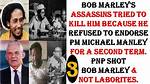 Unveiling the Truth: Bob Marley's Assassination Attempt