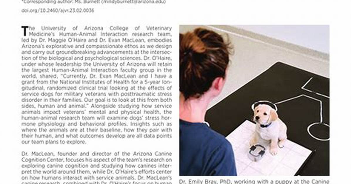 Veterinary Research Institute: Advancing Animal Health and Welfare