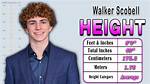 Walker Scobell's Height Unveiled: Unlocking Secrets and Insights
