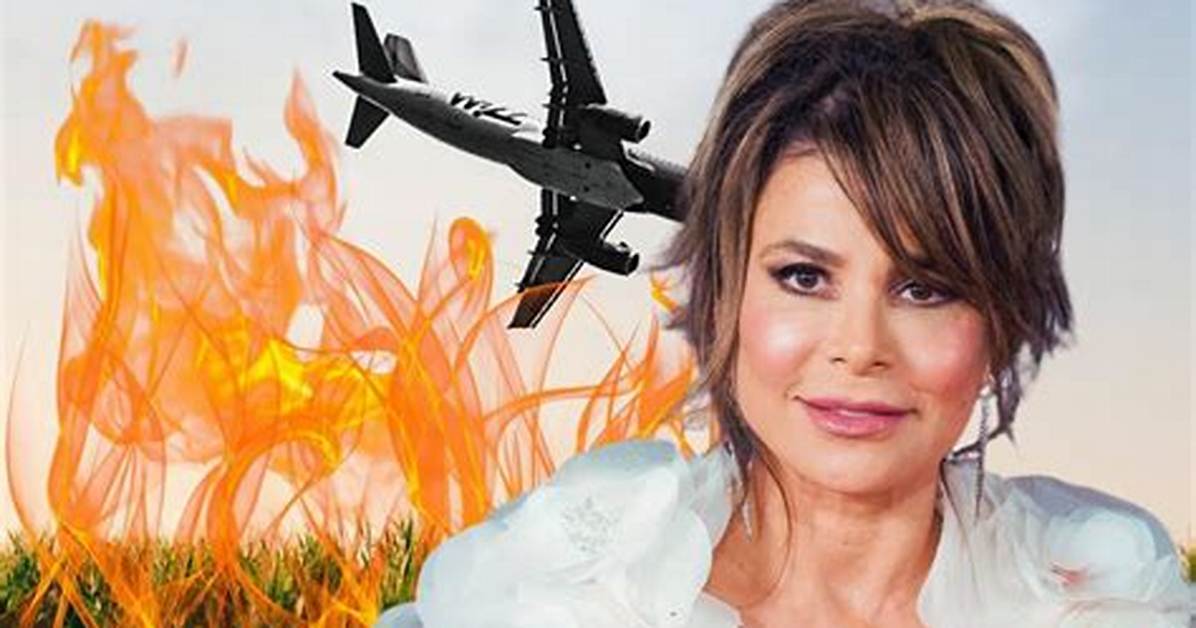 What Happened in the Paula Abdul Plane Crash Incident?