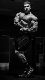 What Happened to Cbum? Is Cbum Retiring? Does Chris Bumstead Take Steroids? Who Is Chris Bumstead Wi