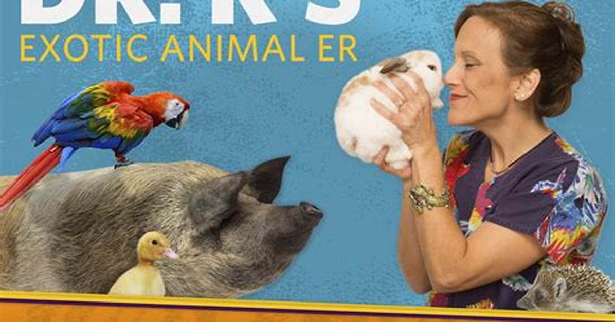 Where Is Dr. K's Exotic Animal Er Filmed? ·